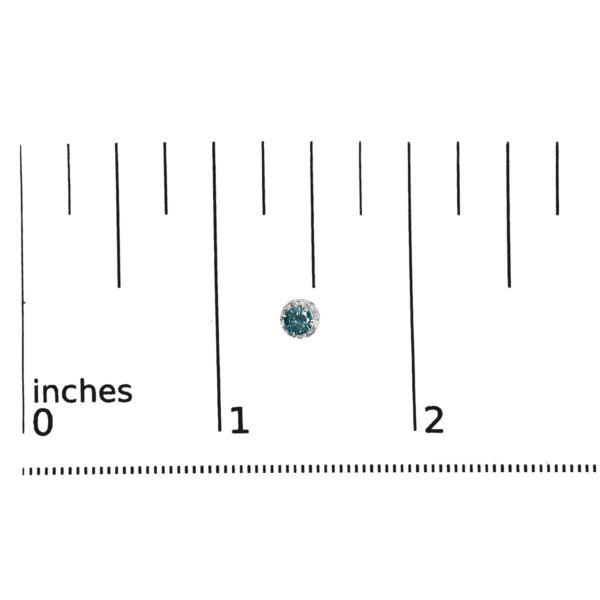 70 4307WBD scale
