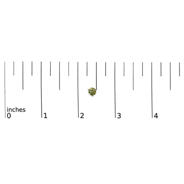 70 4356WLG scale