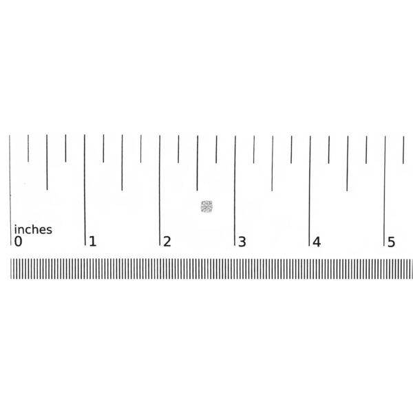 70 4947WLD scale