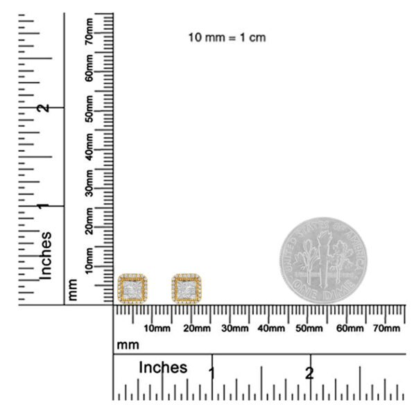70 4976Y scale