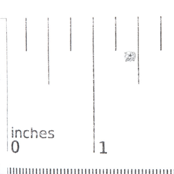 70 5159WLD scale