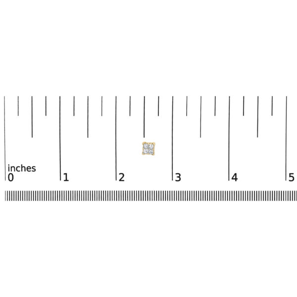 70 5504Y scale