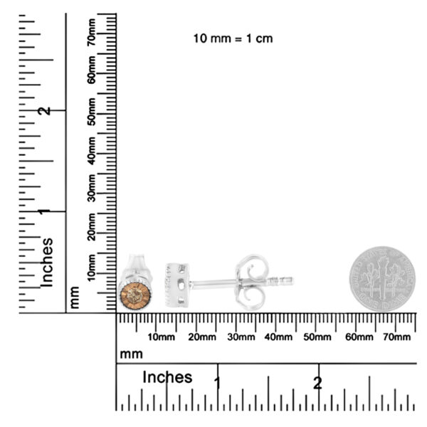 70 5564WCD scale