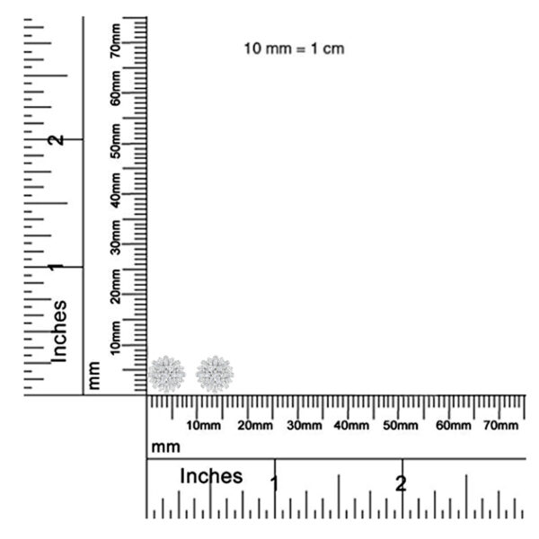 70 5699W scale