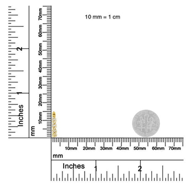 70 5828Y scale