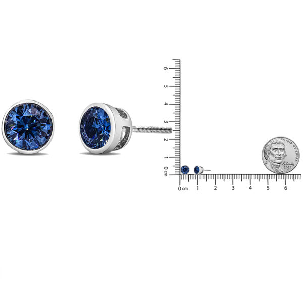 70 6007WLB scale