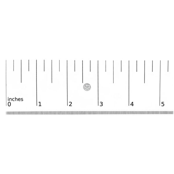 70 6007WLD scale