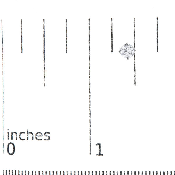 70 6009WLD scale