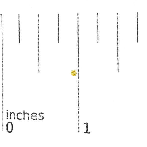70 6009WLY scale