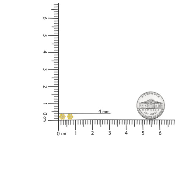 70 6046WYD scale