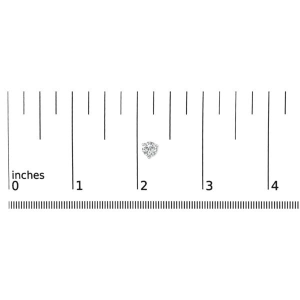 70 6113WLD scale