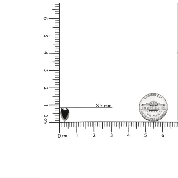 70 6177WBK scale