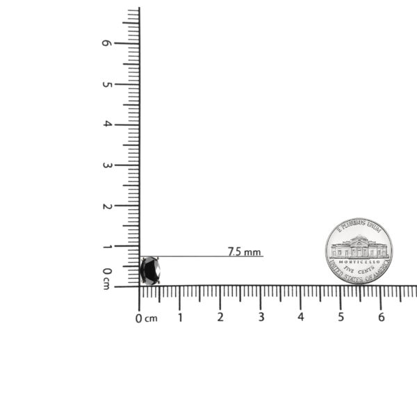 70 6178WBK scale