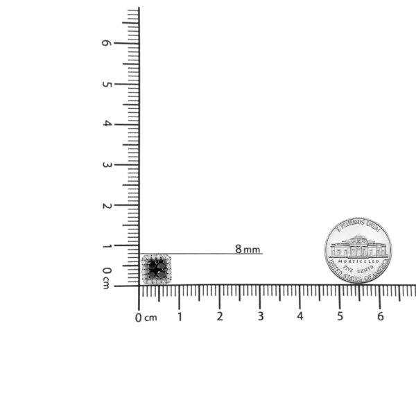 70 6181WBK scale