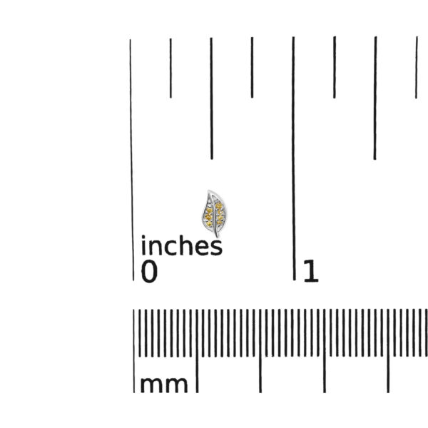 70 6531WYD scale