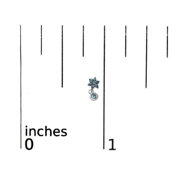 70 6534WBD scale