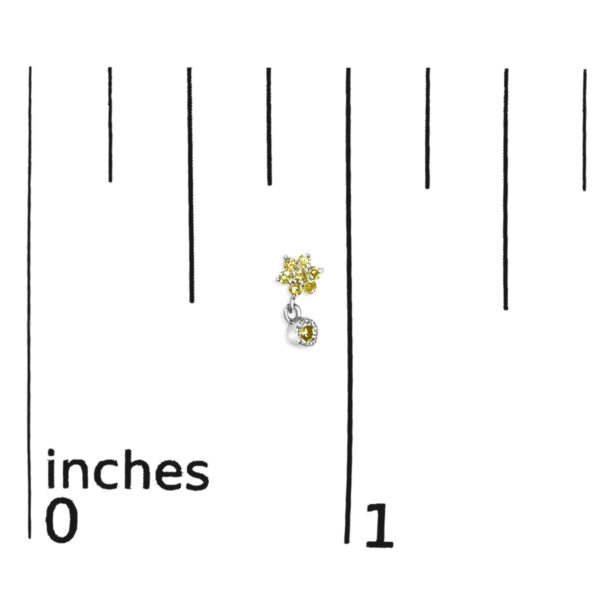 70 6534WYD scale