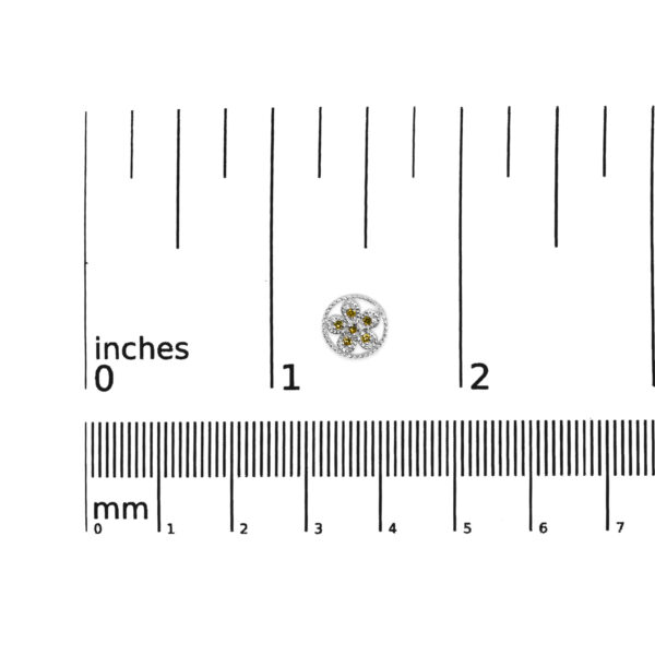 70 6565WYD scale