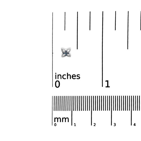 70 7654WBD scale