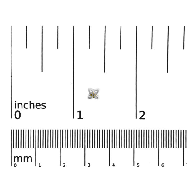70 7654WYD scale