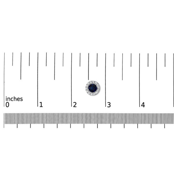 70 7673WLB scale