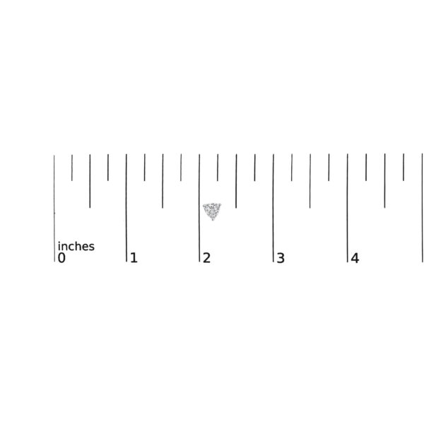 70 7697WLD scale