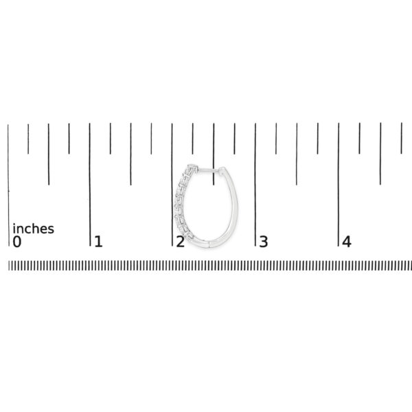 701095 SIL WS scale