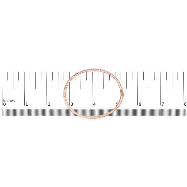 79861FHPG scale