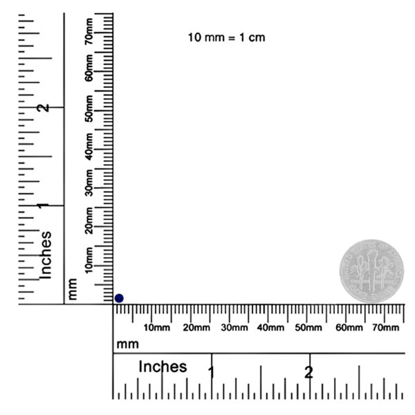 80 7142WBS scale