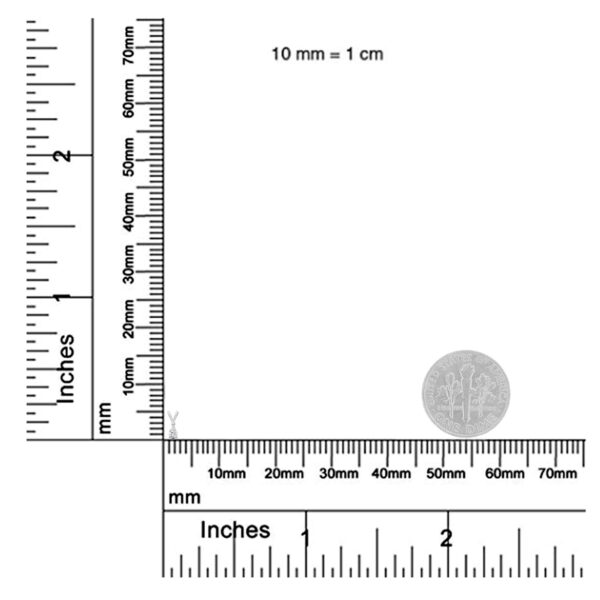 80 7255W scale