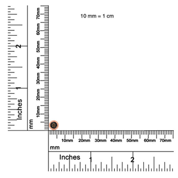 80 7256DCD scale