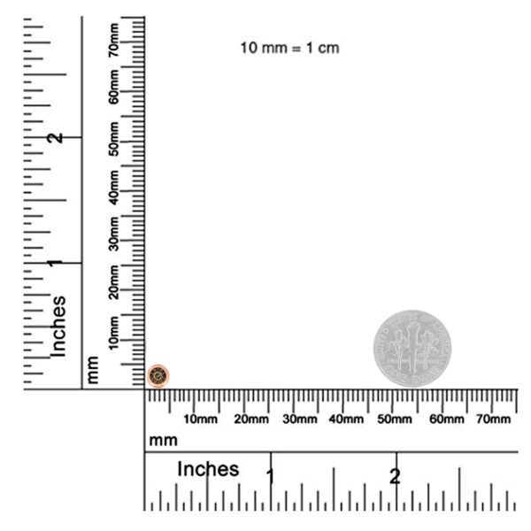 80 7256ICD scale