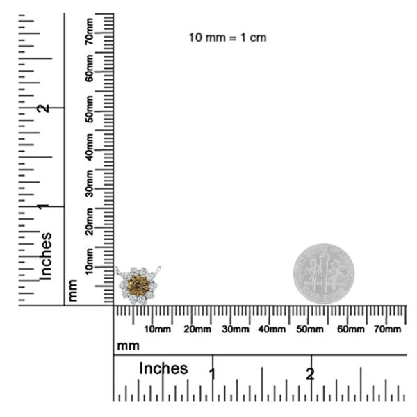 80 7287GCD scale