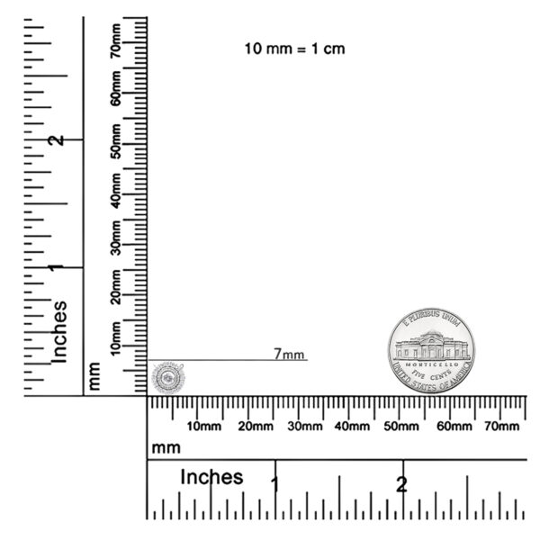 80 7611W scale