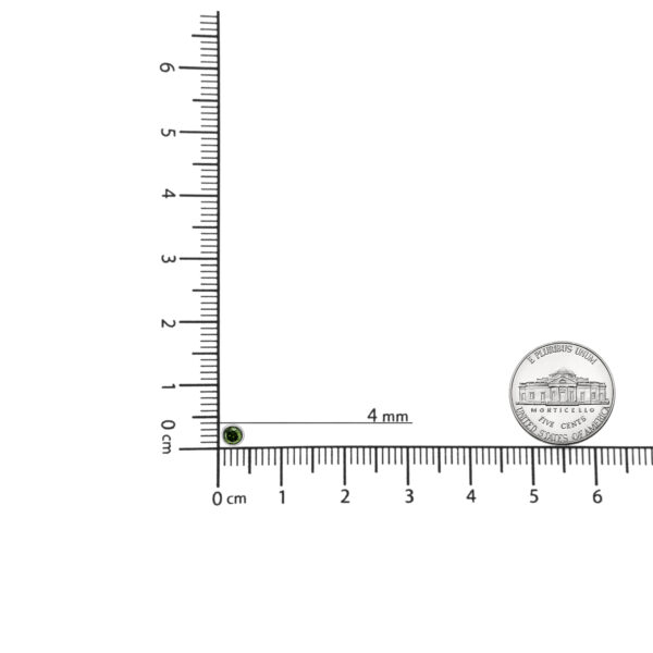 80 7615WGD scale