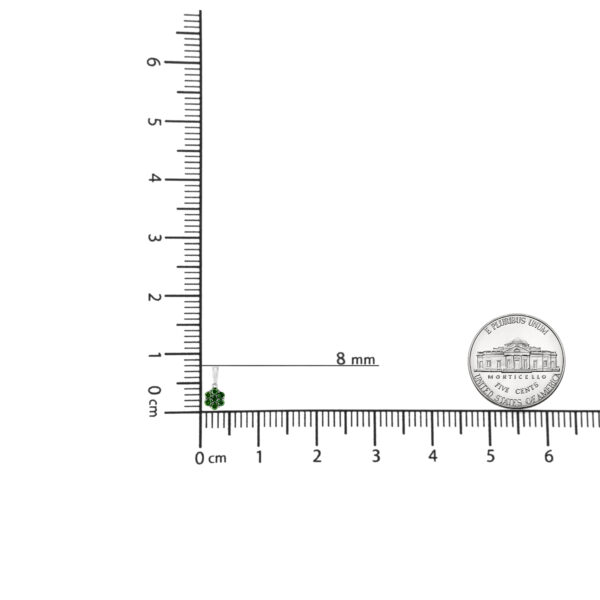 80 7621WGD scale