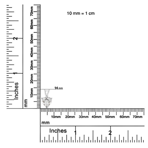 80 7776WLD scale
