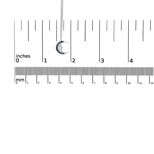 80 7915WBD scale