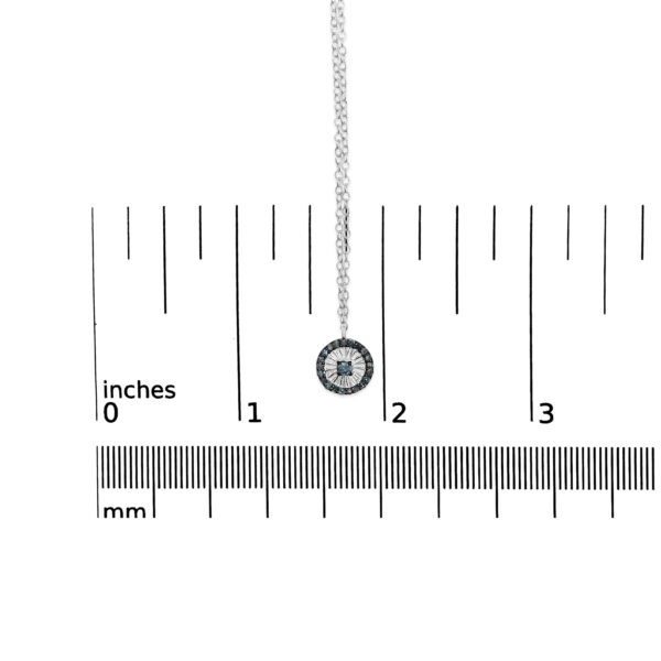 80 7919WBD scale