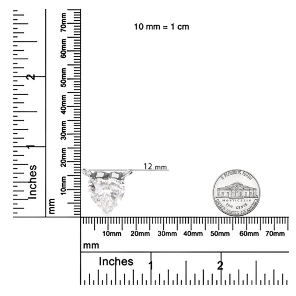 80 8712WLD scale