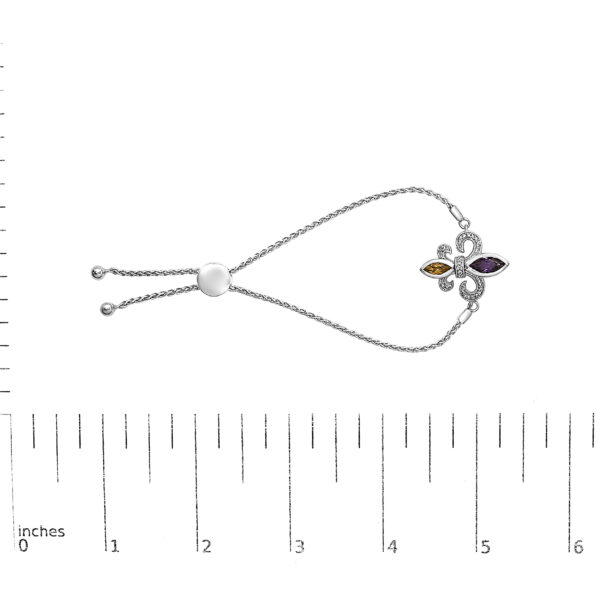 81049SSAMCTSLTB scale