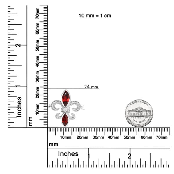 81049SSGTSLTB scale
