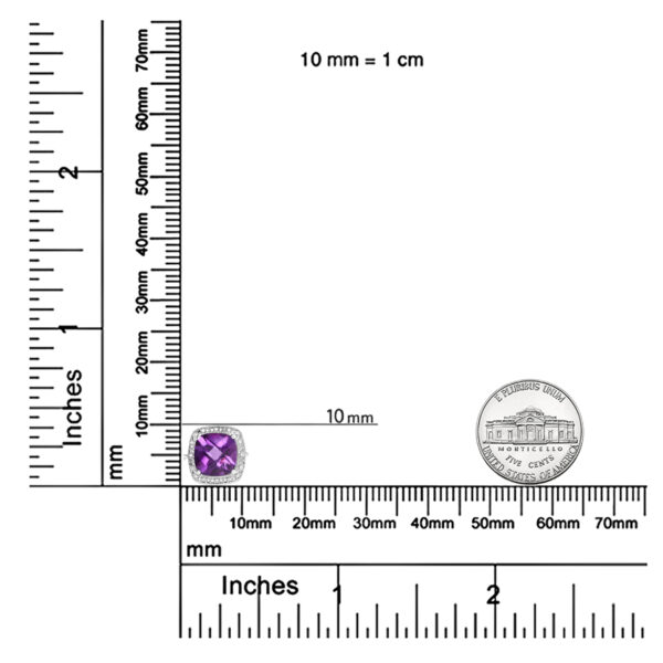81139SSAMSLTB scale