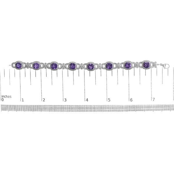 85578SSAMSLTB scale