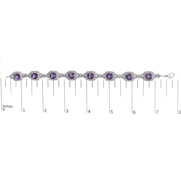 85588SSAMSLTB scale