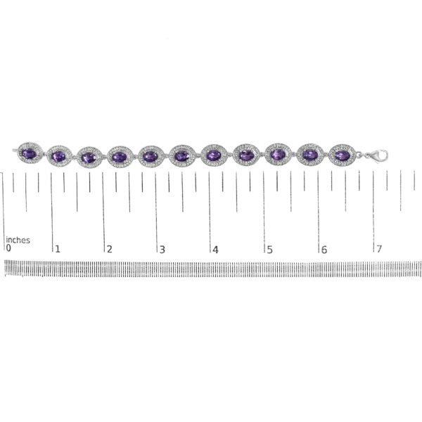 85598SSAMSLTB scale
