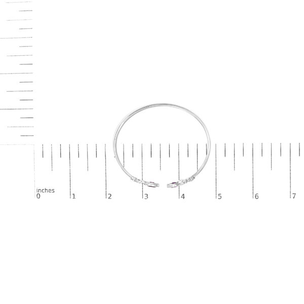 85669SSAMSLBG scale