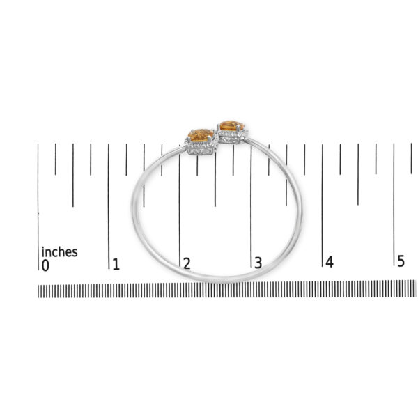 88718SSCTSLBG scale
