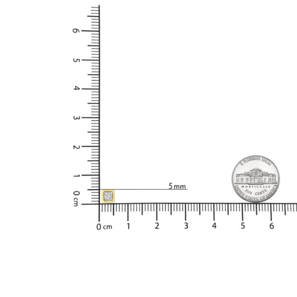 90 2479Y scale