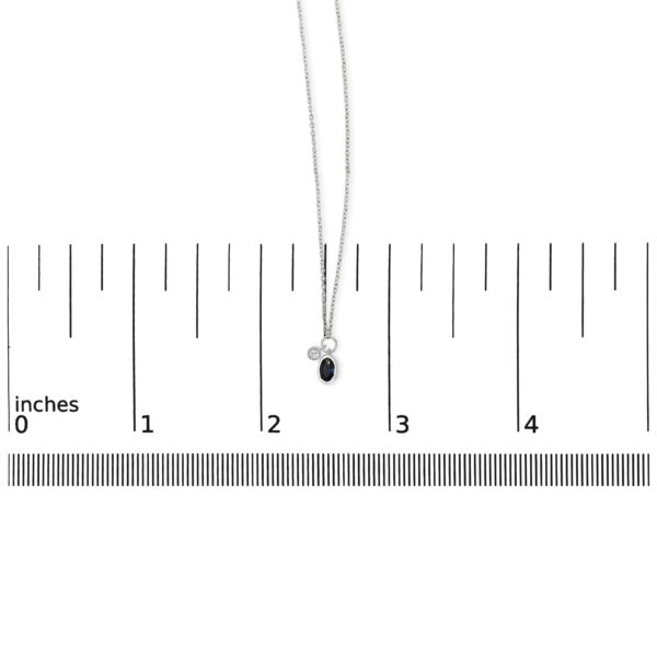 99530TGNKSPWG OV scale